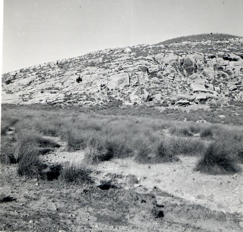 CRAMPEL 1959  (5).jpg
